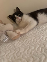 /album/268/whatsapp-image-2026-04-28-at-18-59-53-5-jpeg/